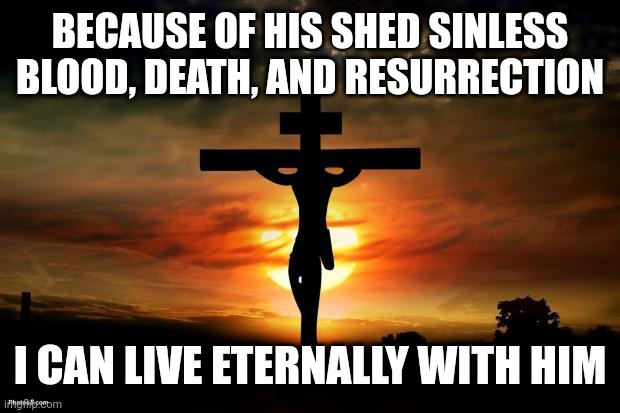 Jesus on the cross | BECAUSE OF HIS SHED SINLESS BLOOD, DEATH, AND RESURRECTION; I CAN LIVE ETERNALLY WITH HIM | image tagged in jesus on the cross | made w/ Imgflip meme maker