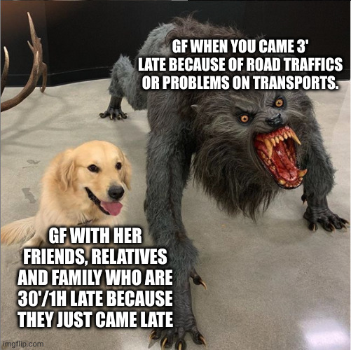 dog vs werewolf | GF WHEN YOU CAME 3' LATE BECAUSE OF ROAD TRAFFICS OR PROBLEMS ON TRANSPORTS. GF WITH HER FRIENDS, RELATIVES AND FAMILY WHO ARE 30'/1H LATE BECAUSE THEY JUST CAME LATE | image tagged in dog vs werewolf | made w/ Imgflip meme maker