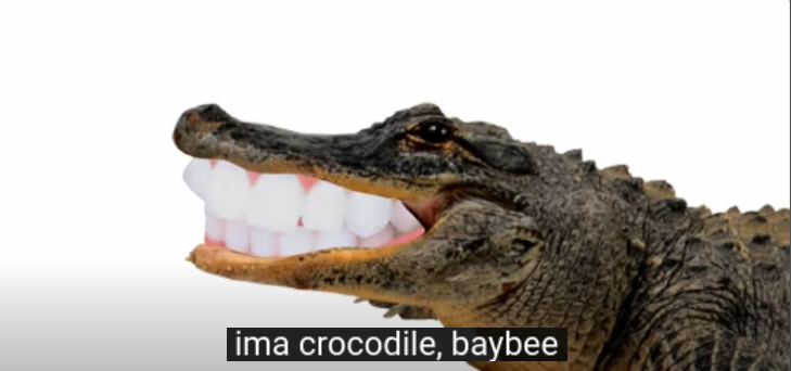 ima crocodile, baybee Blank Meme Template