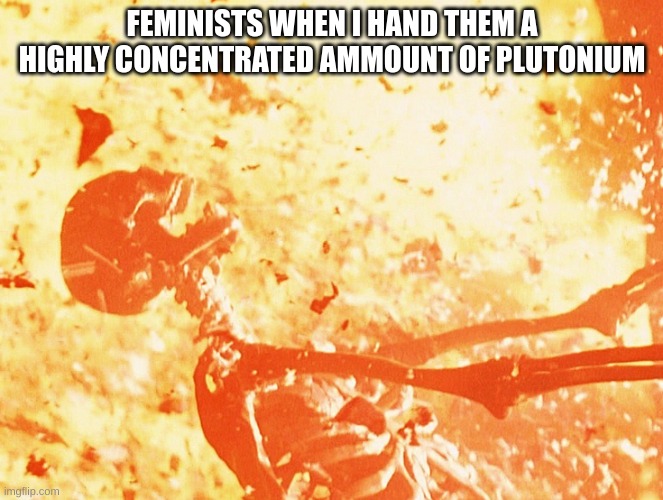 plutonium so yummy | FEMINISTS WHEN I HAND THEM A HIGHLY CONCENTRATED AMMOUNT OF PLUTONIUM | image tagged in fire skeleton,feminist,highly concentrated amount of plutonium | made w/ Imgflip meme maker