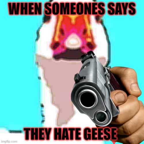 when someone says they hate geese | WHEN SOMEONES SAYS; THEY HATE GEESE | image tagged in geese,funny memes,goose memes,comen_glutamate | made w/ Imgflip meme maker