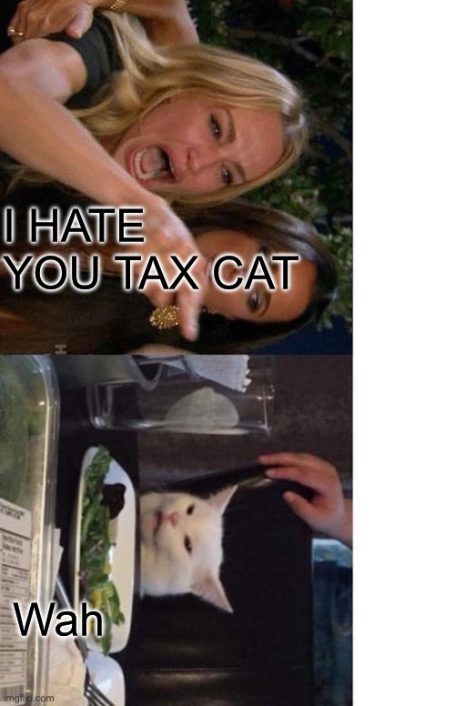TAX CAT STRIKES AGAIN | I HATE YOU TAX CAT; Wah | image tagged in memes,woman yelling at cat | made w/ Imgflip meme maker