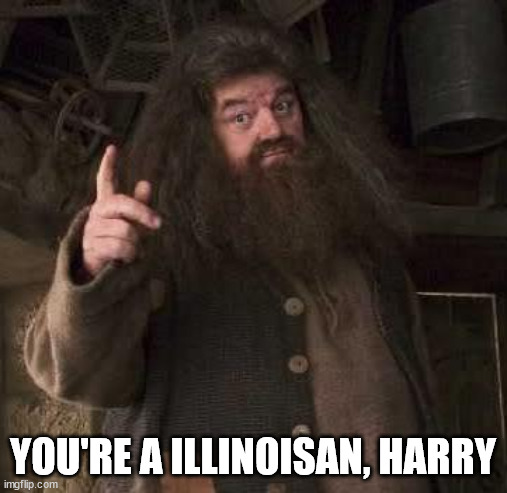 hagrid  | YOU'RE A ILLINOISAN, HARRY | image tagged in hagrid | made w/ Imgflip meme maker