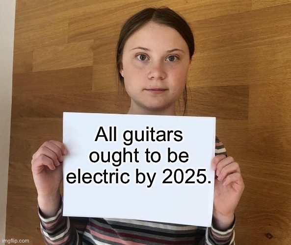 Greta | All guitars ought to be electric by 2025. | image tagged in greta | made w/ Imgflip meme maker