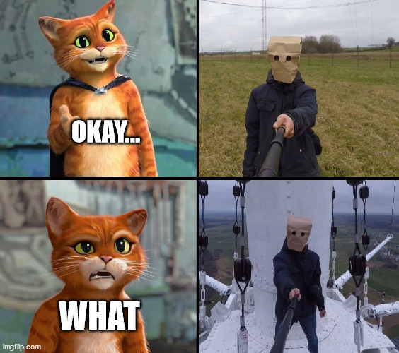 Gato meme - Imgflip