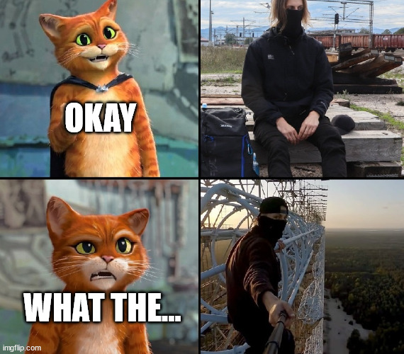 Gato meet Shiey | OKAY; WHAT THE... | image tagged in gato,shiey,lattice climbing,puss in boots,tower,template | made w/ Imgflip meme maker