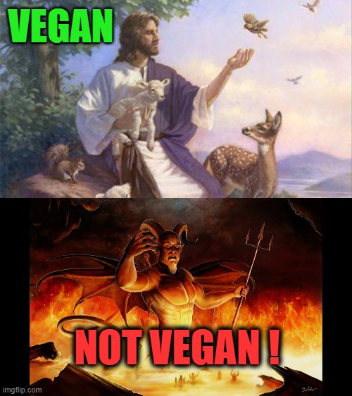 VEGAN; NOT VEGAN ! | made w/ Imgflip meme maker