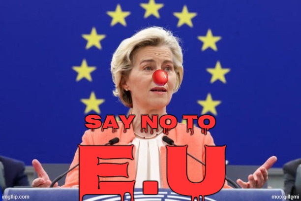 E.U | SAY NO TO; E.U | image tagged in eu,european union,europe,political meme,european | made w/ Imgflip meme maker