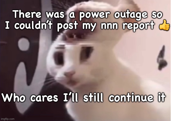 Shocked cat | There was a power outage so I couldn’t post my nnn report 👍; Who cares I’ll still continue it | image tagged in shocked cat | made w/ Imgflip meme maker