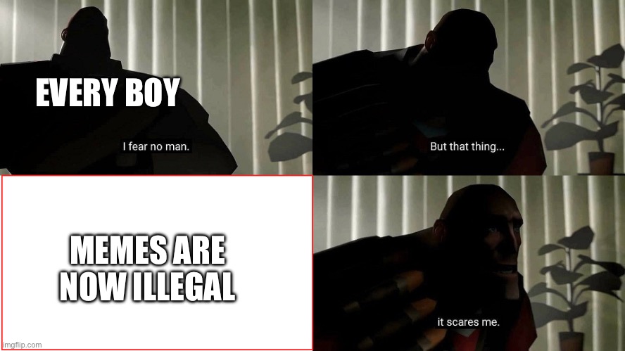 Man’s greatest fear ? | EVERY BOY; MEMES ARE NOW ILLEGAL | image tagged in tf2 heavy i fear no man | made w/ Imgflip meme maker