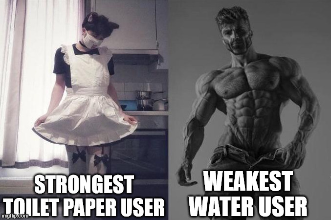 Strongest Fan VS Weakest Fan | STRONGEST TOILET PAPER USER; WEAKEST WATER USER | image tagged in strongest fan vs weakest fan | made w/ Imgflip meme maker