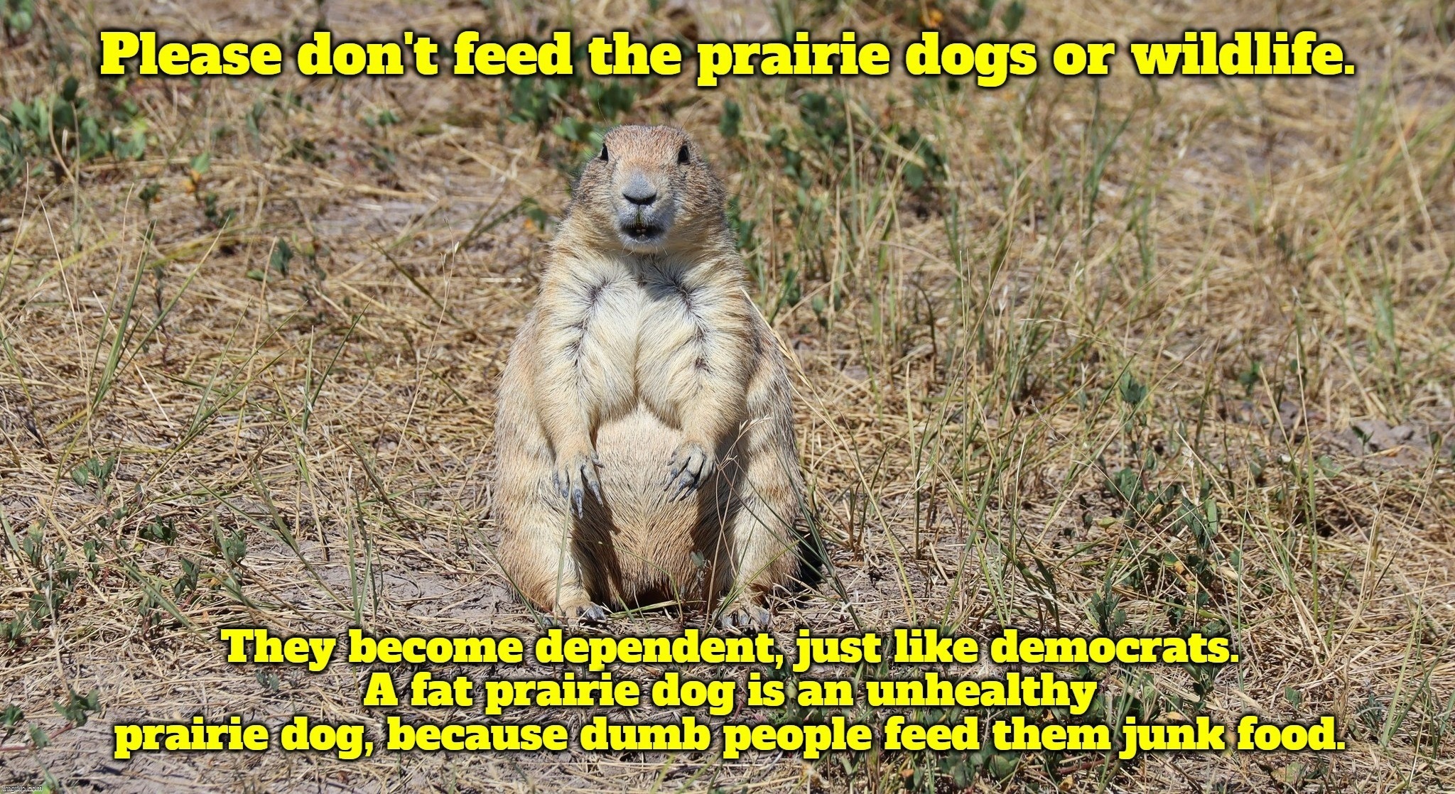 Please don't feed the prairie dogs or wildlife. | image tagged in prairie dogs,wildlife,codependent,dependent,democrats,freeloaders | made w/ Imgflip meme maker