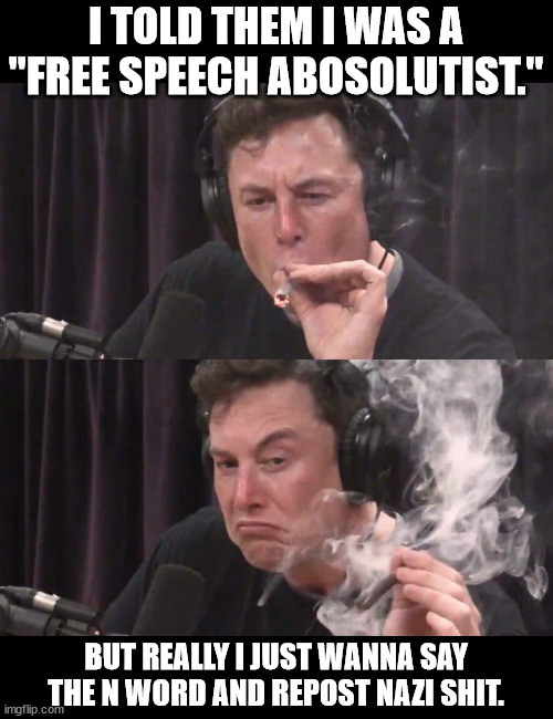 Elon Musk Weed | I TOLD THEM I WAS A "FREE SPEECH ABOSOLUTIST."; BUT REALLY I JUST WANNA SAY THE N WORD AND REPOST NAZI SHIT. | image tagged in elon musk weed | made w/ Imgflip meme maker