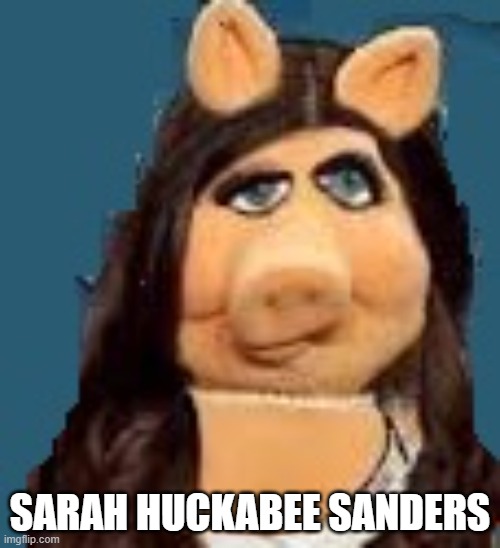 sarah huckabee sanders | SARAH HUCKABEE SANDERS | image tagged in sarah huckabee sanders,sarah sanders | made w/ Imgflip meme maker