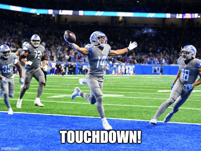 Lions touchdown | TOUCHDOWN! | image tagged in lions touchdown | made w/ Imgflip meme maker
