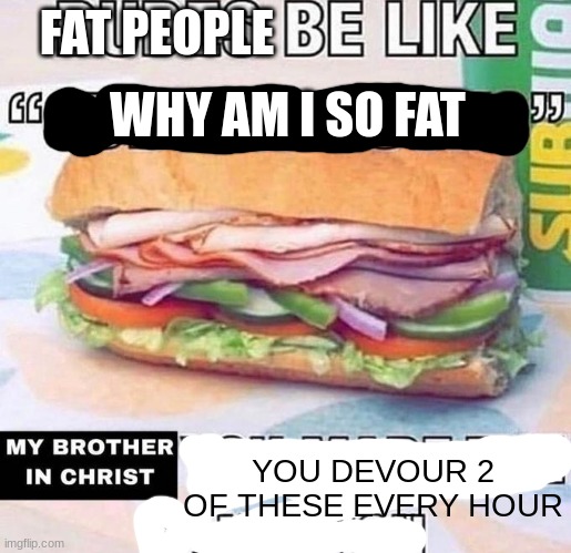 Brother in Christ Subway | WHY AM I SO FAT; FAT PEOPLE; YOU DEVOUR 2 OF THESE EVERY HOUR | image tagged in brother in christ subway | made w/ Imgflip meme maker