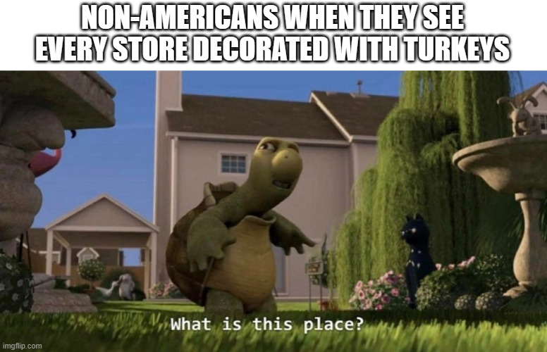 happy late thanksgiving | NON-AMERICANS WHEN THEY SEE EVERY STORE DECORATED WITH TURKEYS | image tagged in what is this place,dark humor,happy thanksgiving | made w/ Imgflip meme maker