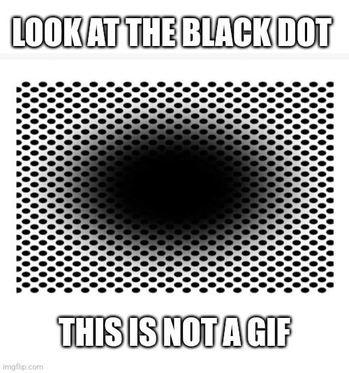 Black Hole Fun | LOOK AT THE BLACK DOT; THIS IS NOT A GIF | image tagged in optical illusion,not a gif,eye,tricks,weird stuff | made w/ Imgflip meme maker