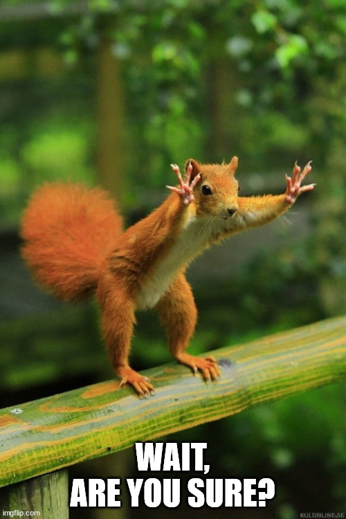Wait a Minute Squirrel | WAIT, ARE YOU SURE? | image tagged in wait a minute squirrel | made w/ Imgflip meme maker