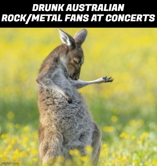 DRUNK AUSTRALIAN ROCK/METAL FANS AT CONCERTS | image tagged in rock,metal,funny animals,funny,music | made w/ Imgflip meme maker
