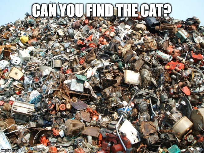 spot the cat in the rubbish tip | CAN YOU FIND THE CAT? | image tagged in cats,puzzle,riddles and brainteasers,trash | made w/ Imgflip meme maker