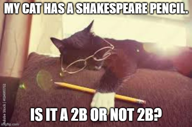 meme by Brad cat pencil 2B or not 2B | MY CAT HAS A SHAKESPEARE PENCIL. IS IT A 2B OR NOT 2B? | image tagged in cat meme | made w/ Imgflip meme maker