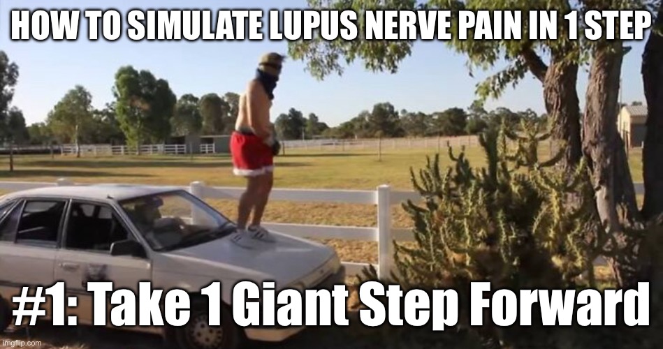 Lupus Nerve Pain | HOW TO SIMULATE LUPUS NERVE PAIN IN 1 STEP; #1: Take 1 Giant Step Forward | image tagged in pain,cactus,cacti,steps,simulation | made w/ Imgflip meme maker