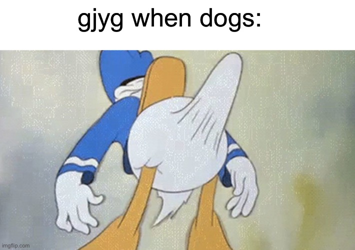 The internet is a wonderful place….   ._. | gjyg when dogs: | made w/ Imgflip meme maker