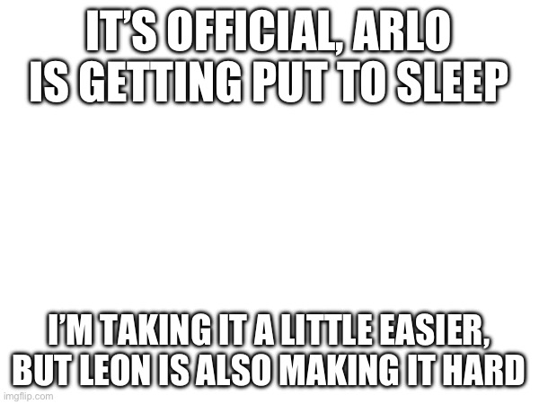 Update | IT’S OFFICIAL, ARLO IS GETTING PUT TO SLEEP; I’M TAKING IT A LITTLE EASIER, BUT LEON IS ALSO MAKING IT HARD | image tagged in dogs | made w/ Imgflip meme maker