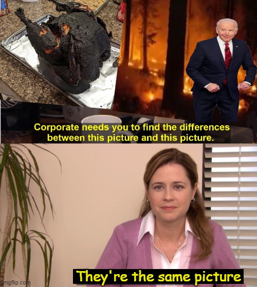 "Your Goose is Cooked" | They're the same picture | image tagged in political humor,joe biden,goose is cooked,roasted turkey,dumpster fire,they're the same picture | made w/ Imgflip meme maker