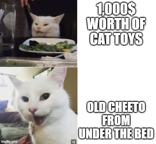 cats just wanted the cheetos | 1,000$ WORTH OF CAT TOYS; OLD CHEETO FROM UNDER THE BED | image tagged in smudge hotline bling | made w/ Imgflip meme maker