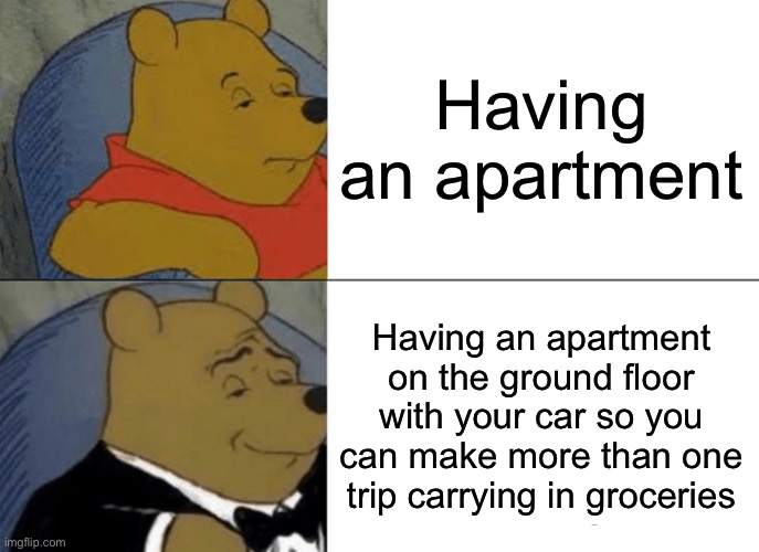 Tuxedo Winnie The Pooh Meme | Having an apartment; Having an apartment on the ground floor with your car so you can make more than one trip carrying in groceries | image tagged in memes,tuxedo winnie the pooh | made w/ Imgflip meme maker