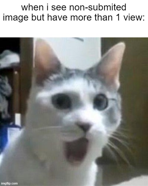 Shocked Cat | when i see non-submited image but have more than 1 view: | image tagged in shocked cat,views | made w/ Imgflip meme maker