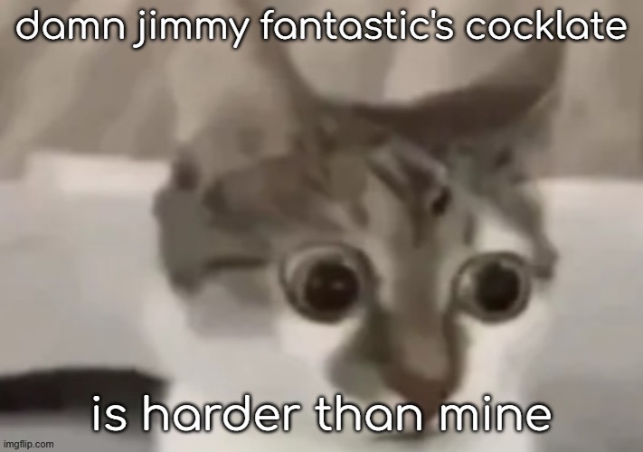 bombastic side eye cat | damn jimmy fantastic's cocklate; is harder than mine | image tagged in bombastic side eye cat | made w/ Imgflip meme maker