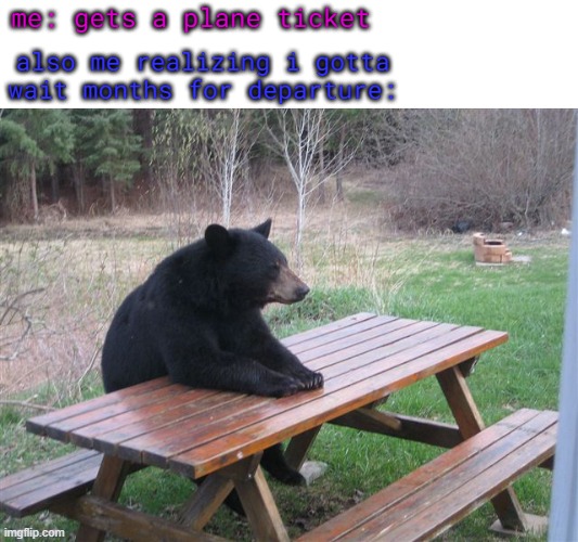 peole usually book thier flights months in advance cuz its cheaper, pay less, wait more. ugh... | me: gets a plane ticket; also me realizing i gotta wait months for departure: | image tagged in patient bear | made w/ Imgflip meme maker