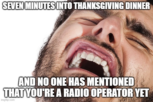 Ham Radio Thanksgiving | SEVEN MINUTES INTO THANKSGIVING DINNER; AND NO ONE HAS MENTIONED THAT YOU'RE A RADIO OPERATOR YET | image tagged in amatuer radio,ham radio,thanksgiving | made w/ Imgflip meme maker