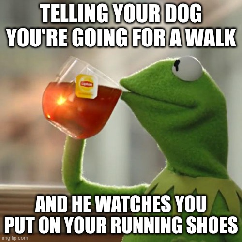 But That's None Of My Business | TELLING YOUR DOG YOU'RE GOING FOR A WALK; AND HE WATCHES YOU PUT ON YOUR RUNNING SHOES | image tagged in memes,but that's none of my business,kermit the frog,funny,change my mind | made w/ Imgflip meme maker