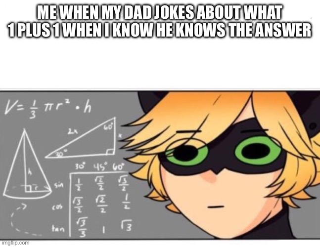 Chat Noir math | ME WHEN MY DAD JOKES ABOUT WHAT 1 PLUS 1 WHEN I KNOW HE KNOWS THE ANSWER | image tagged in chat noir math | made w/ Imgflip meme maker