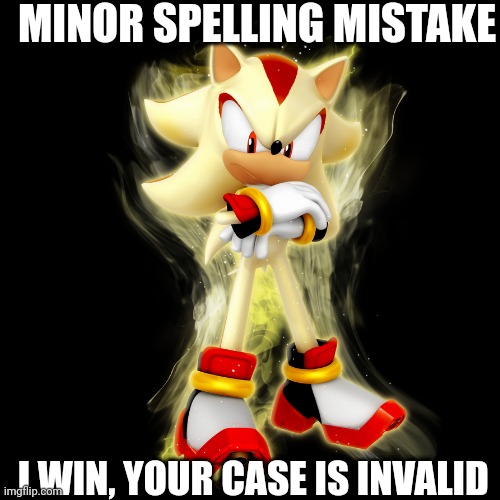 MINOR SPELLING MISTAKE I WIN, YOUR CASE IS INVALID | made w/ Imgflip meme maker