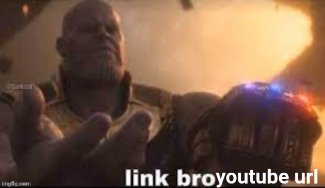 link bro | youtube url | image tagged in link bro | made w/ Imgflip meme maker