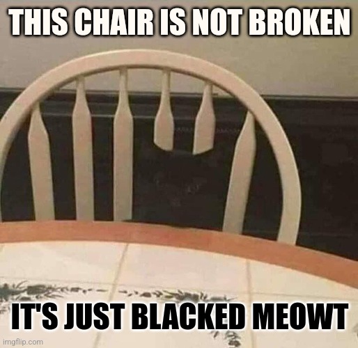 Chair stare | THIS CHAIR IS NOT BROKEN; IT'S JUST BLACKED MEOWT | image tagged in funny cats,black cat,broken,chair,optical illusion | made w/ Imgflip meme maker