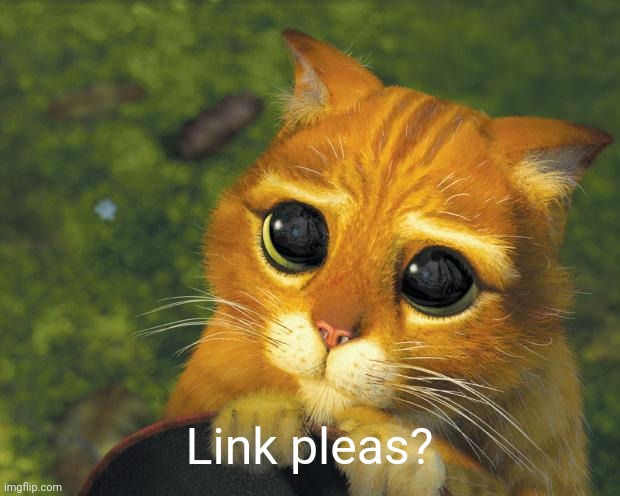 Pretty Please Cat | Link pleas? | image tagged in pretty please cat | made w/ Imgflip meme maker