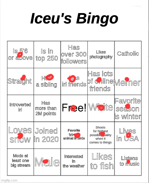 Iceu's Bingo | image tagged in iceu's bingo | made w/ Imgflip meme maker