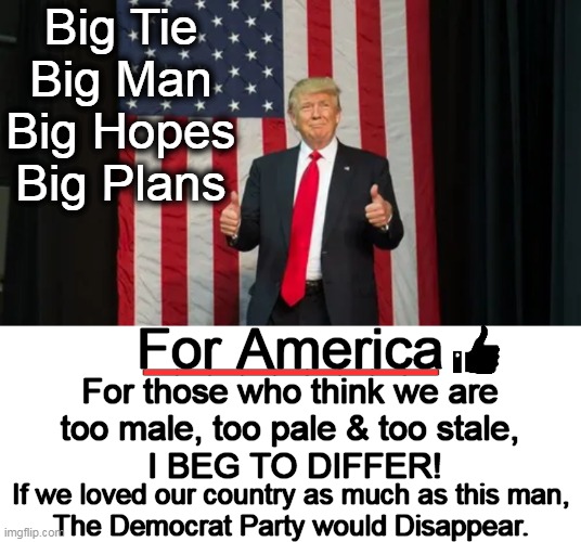TDS Alert! Incoming Trump Meme... | Big Tie
Big Man
Big Hopes
Big Plans; _________; For America; For those who think we are 
too male, too pale & too stale, 
I BEG TO DIFFER! If we loved our country as much as this man,
The Democrat Party would Disappear. | image tagged in politics,donald trump,american patriot,democrats,hate america,tds | made w/ Imgflip meme maker