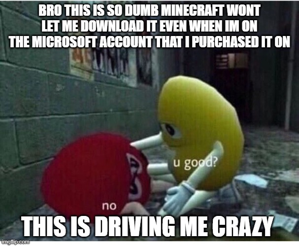 U Good No | BRO THIS IS SO DUMB MINECRAFT WONT LET ME DOWNLOAD IT EVEN WHEN IM ON THE MICROSOFT ACCOUNT THAT I PURCHASED IT ON; THIS IS DRIVING ME CRAZY | image tagged in u good no | made w/ Imgflip meme maker