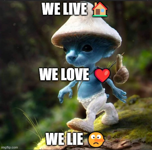 meme go viral | WE LIVE 🏠; WE LOVE ❤️; WE LIE 🤥 | image tagged in blue smurf cat | made w/ Imgflip meme maker