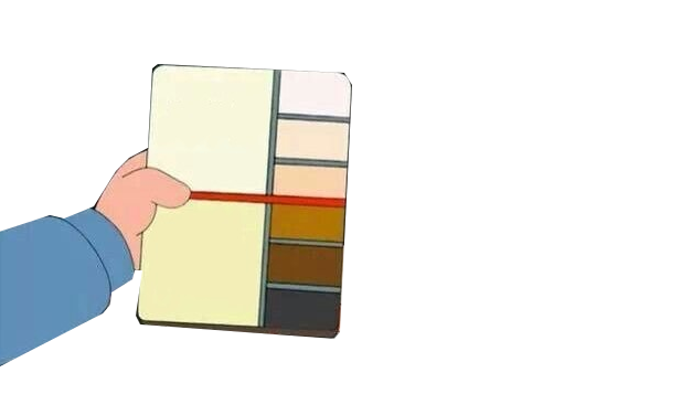 High Quality skin-color chart overlay Blank Meme Template