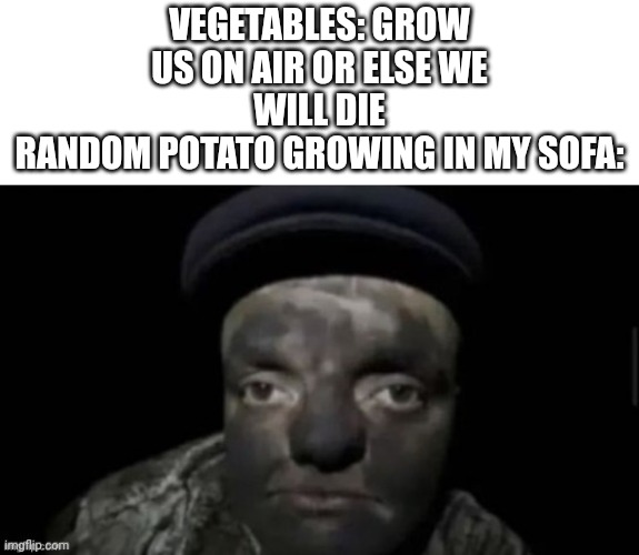 VEGETABLES: GROW US ON AIR OR ELSE WE WILL DIE
RANDOM POTATO GROWING IN MY SOFA: | made w/ Imgflip meme maker