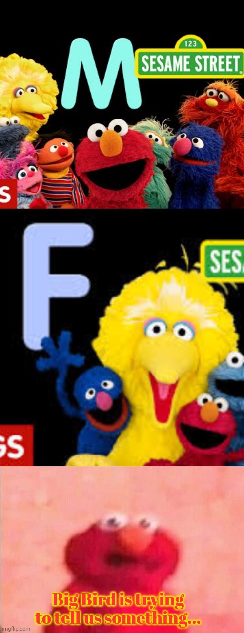 Sesame street lost episodes | Big Bird is trying to tell us something... | image tagged in sickened elmo,sesame street,stop it get some help,big bird | made w/ Imgflip meme maker