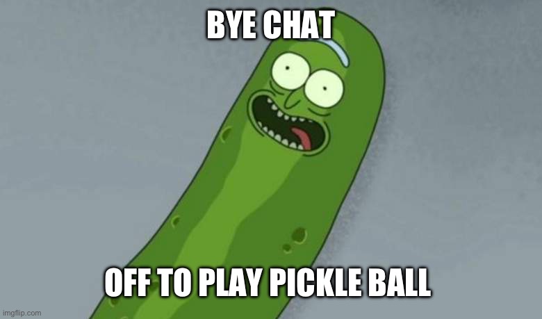 Pickle rick | BYE CHAT; OFF TO PLAY PICKLE BALL | image tagged in pickle rick | made w/ Imgflip meme maker